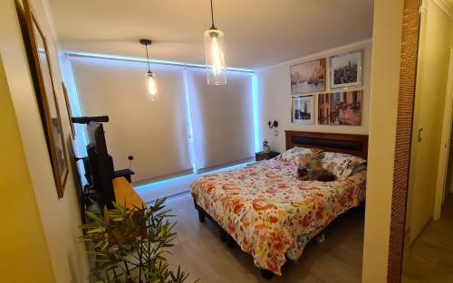 Apartamento Departamento Temporal Exponor