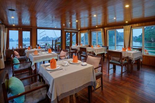 Cozy Bay Cruise