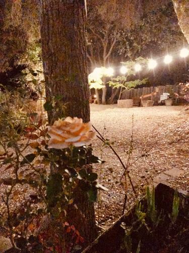 Sierra Mountain Lodge - Yosemite