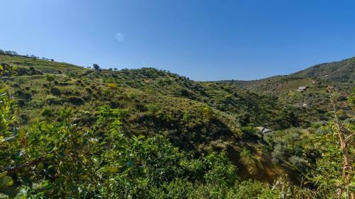 Villa Fuente Pint� Arenas By Ruralidays