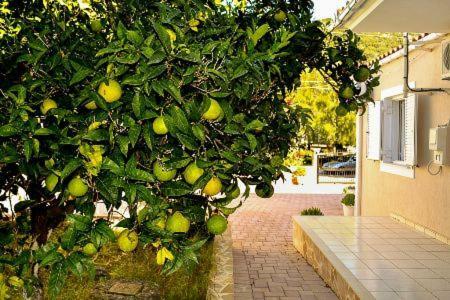 Apartamento Cottage Sakkatos