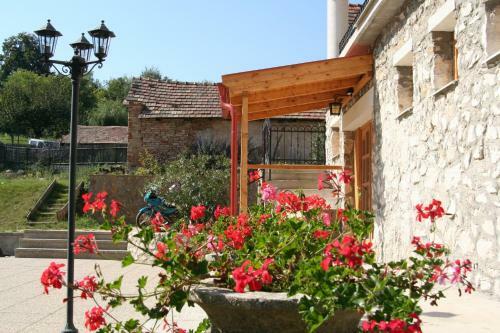 Hostal Erzs�bet Vend�gh�z - Csesznek