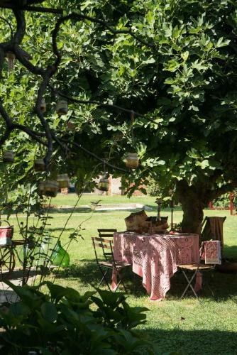 Glamping Canonici Di San Marco