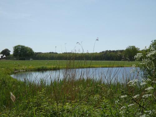 Boshuisje 11 Op Bospark Trimunt