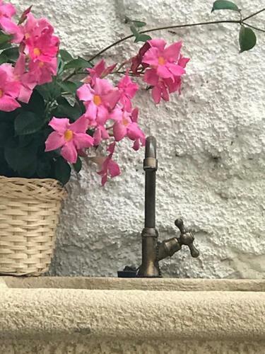 Apartamento Residence Campanelle 54