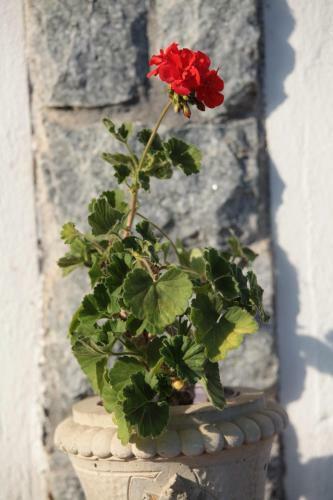 Bed & Breakfast Il Forno Dal 1922