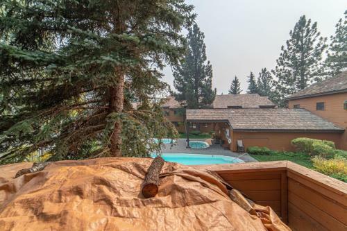 #480 - Pet-friendly, Family-friendly Mountain Condo