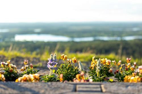 Apartamento Holiday In Lapland - Sointuilevi B62