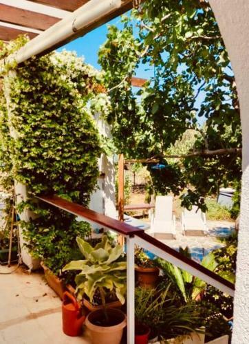 Apartamento Palmtree House