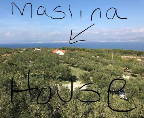 Maslina House