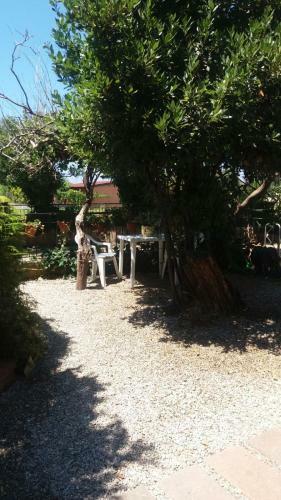 Villa Giulia, Villa Indipendente Con Giardino