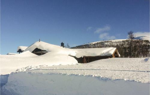 Three-bedroom Holiday Home In Rauland