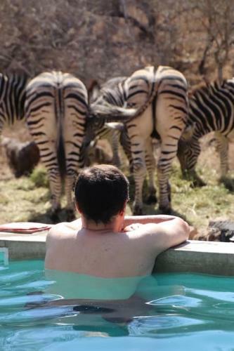 Leadwood Marloth, Kruger Park
