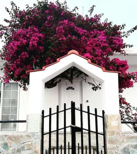 Villa Annika's Summer Dream