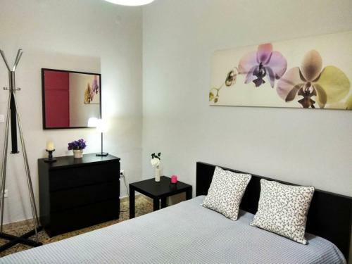 Amazing Apartment