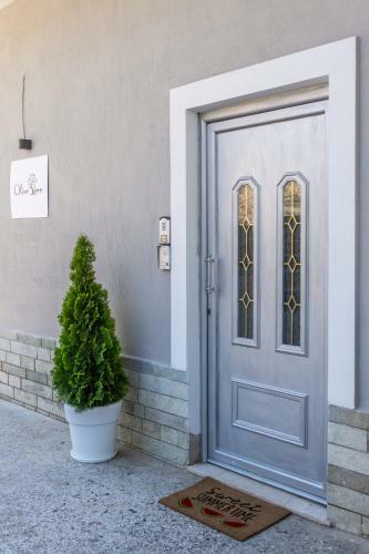Olive Tree Apartment