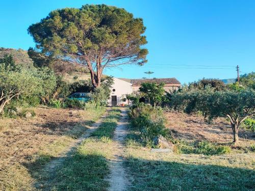 Rustico In Campagna A Due Passi Dal Mare - Scopello