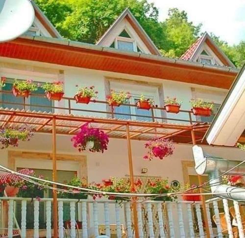 Hostal Ca La Mama Acas?