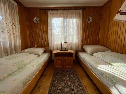 Hostal Pensiunea Nechita