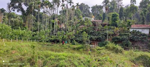 Agroturismo Coorg Estate Stay