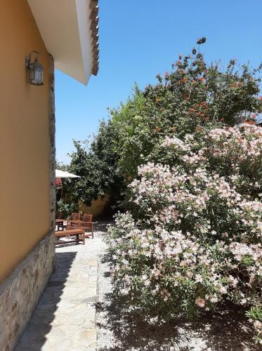 La Capilla (casa Destinada Solo A Familias)