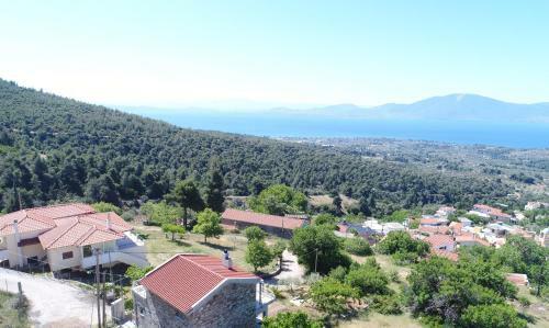 Bella Vista Di Nerotrivia