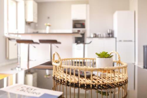Apartamento Tr�sor De Brou *new Location