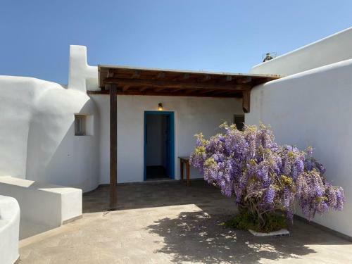 Apartamento Appartements Ano Mera / Fokos