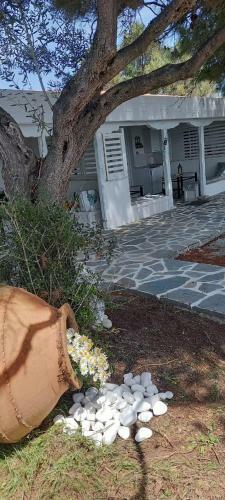 Hostal Seaside Kastamoniti Nikiti "pine&sea"