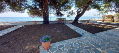 Hostal Seaside Kastamoniti Nikiti "pine&sea"