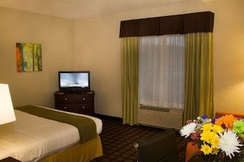 Holiday Inn Express Hotel & Suites Chicago-algonquin