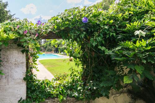 Villa Tenuta Chimeta - Peace Retreat