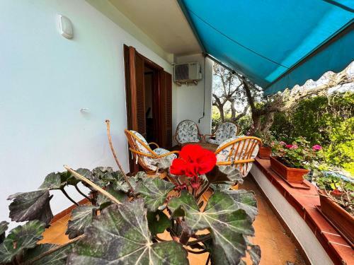 Villa Le Dune A Porto Cesareo