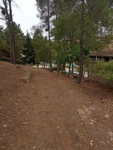 Parque De Campismo Da Barragem Do Vilar