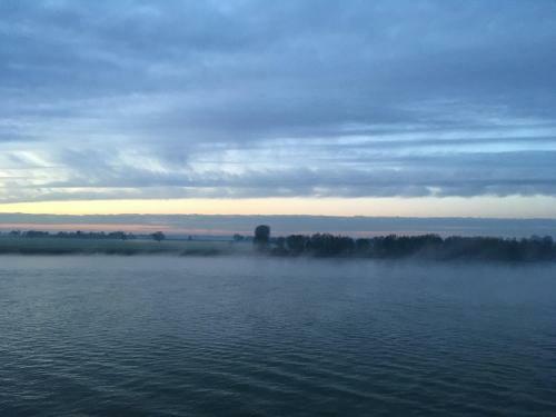 Rheinbett