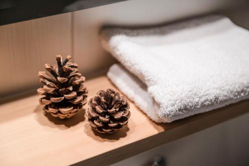 Piculin Alpin Apartments