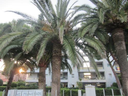 Apartamento Studio Mer