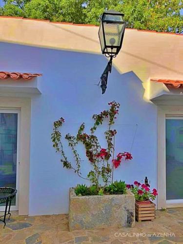 Bed & Breakfast Suite Buganv�lia - Quinta Casalinho Da Azenha