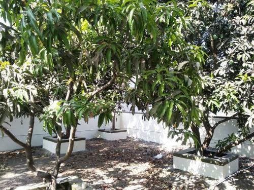 Pleasing AC Villa For Relaxing & Chilling