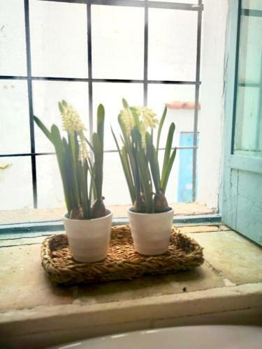 Wink Ibiza Cozy Apartments