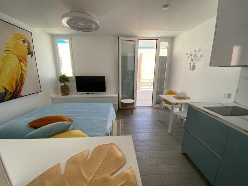 Amber Apartments - Sunny Studio