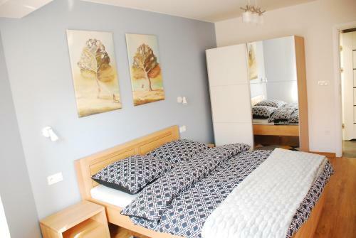 Apartamenty Dar?�wko