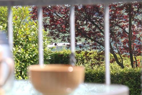 Cozy Apartment Mit Sonnenterrasse, Ofen & Netflix