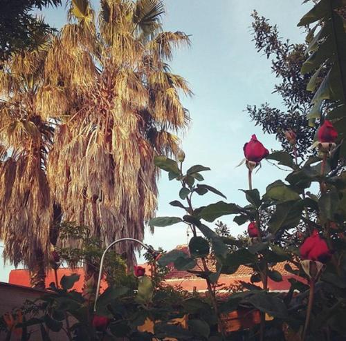 B&B Dal Pozzo
