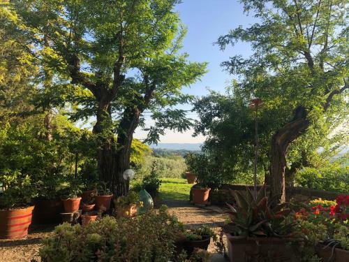 Agroturismo Podere Casato