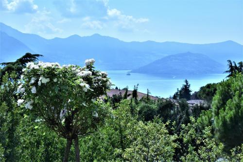 Bed & Breakfast Residenza Ca' Laripa