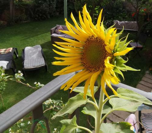 Il Giardino Rooms & Breakfast