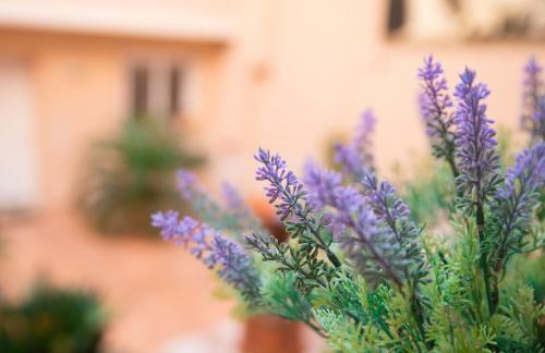 Apartamento Il Cortile Delle Esperidi