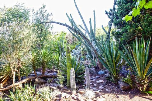 Apartamento Etna Botanic Garden