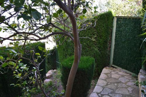 Apartamento Fener De Dalt 5